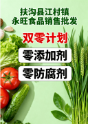 食物“双零打算”试运转方案——创始人：常永