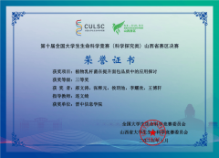 晋中消息学院2025年度荣誉榜揭晓！